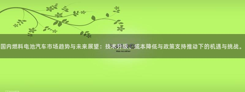 优发国际app登录：国内燃料电池汽车市场趋势与未来展望：技术升级、成本降低与政策支持推动下的机遇与挑战。