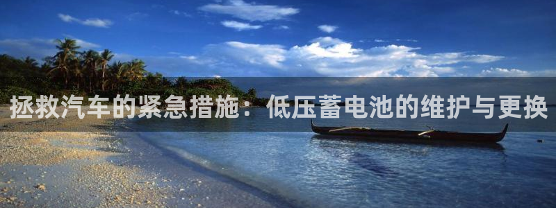 优发国际官方网：拯救汽车的紧急措施：低压蓄电池的维护与更换