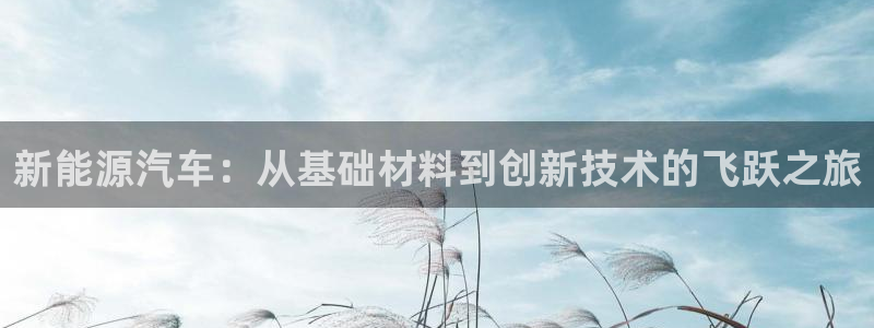 优发国际不出款怎么办：新能源汽车：从基础