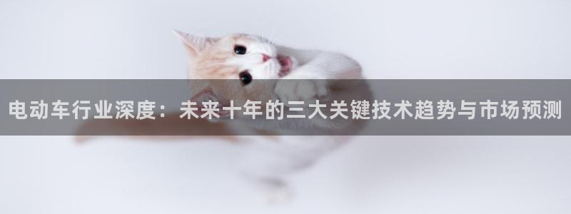 优发国际手机版下载官网