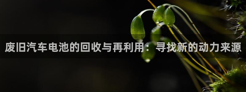 优发国际首页app