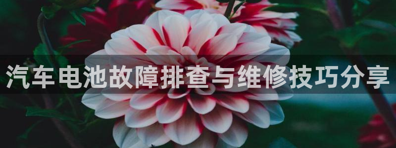 优发国际官网是多少