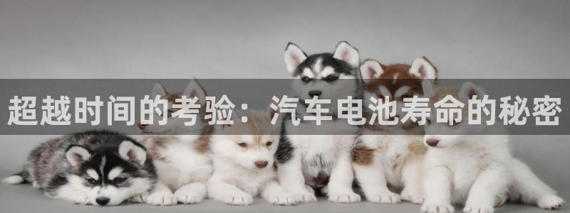 优发国际youfa
