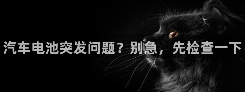 优发国际网官网17w80是什么