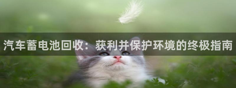 优发国际首页app：汽车蓄电池回收：获利并保护环境的终极指南