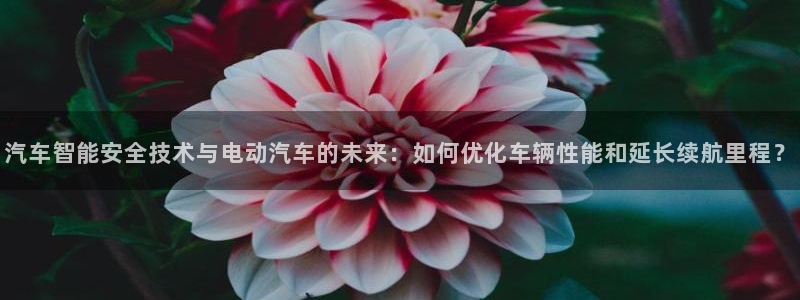 优发国际手机app下载安装最新版